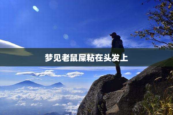 梦见老鼠屎粘在头发上