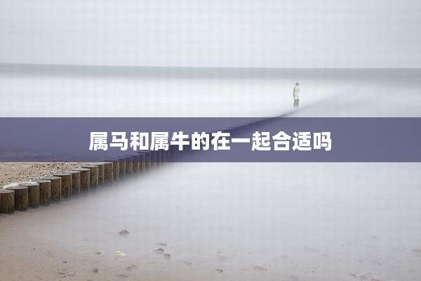 属马和属牛的在一起合适吗