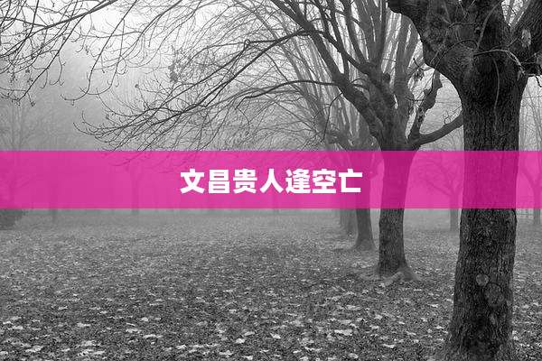 文昌贵人逢空亡