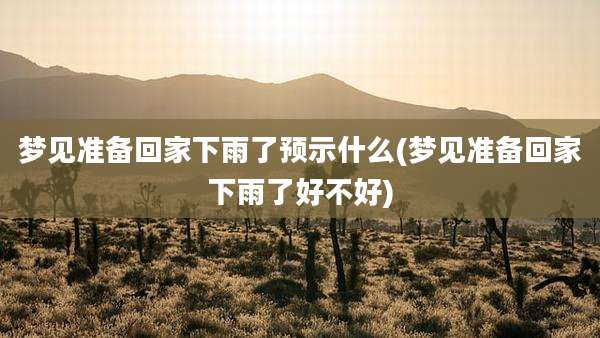 梦见准备回家下雨了预示什么(梦见准备回家下雨了好不好)