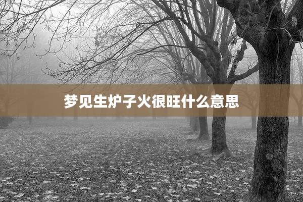 梦见生炉子火很旺什么意思