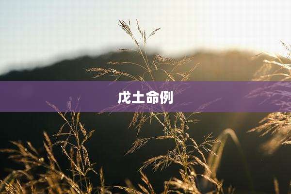 戊土命例