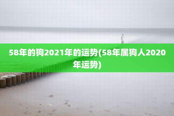 58年的狗2021年的运势(58年属狗人2020年运势)