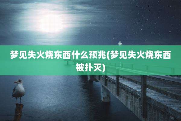 梦见失火烧东西什么预兆(梦见失火烧东西被扑灭)