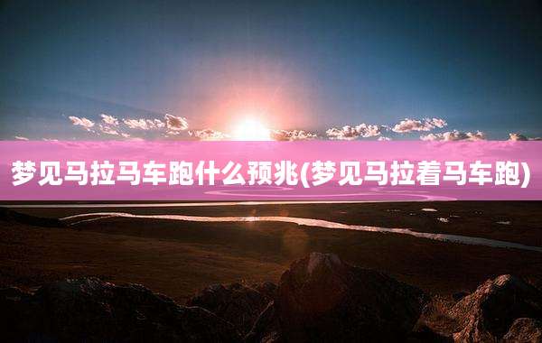 梦见马拉马车跑什么预兆(梦见马拉着马车跑)