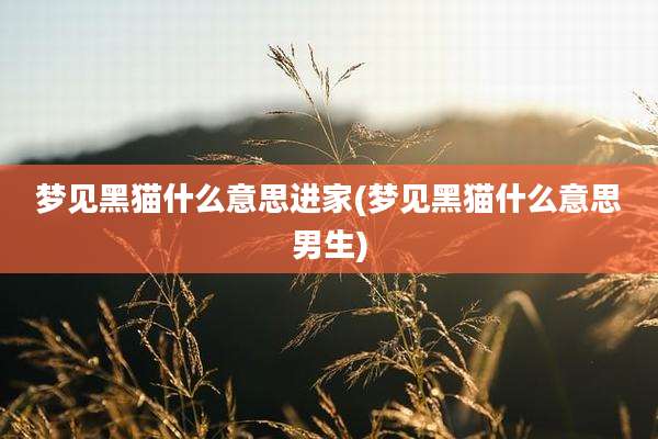 梦见黑猫什么意思进家(梦见黑猫什么意思男生)