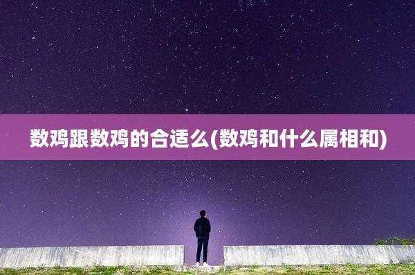 数鸡跟数鸡的合适么(数鸡和什么属相和)