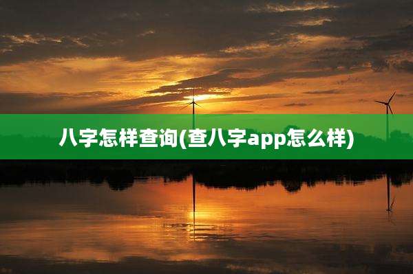 八字怎样查询(查八字app怎么样)