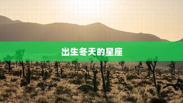出生冬天的星座