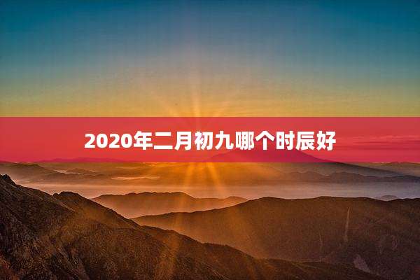 2020年二月初九哪个时辰好
