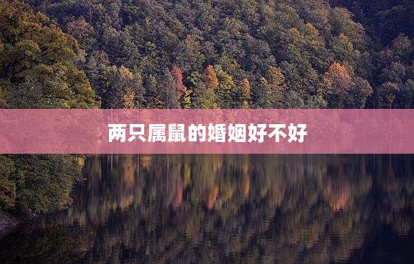 两只属鼠的婚姻好不好