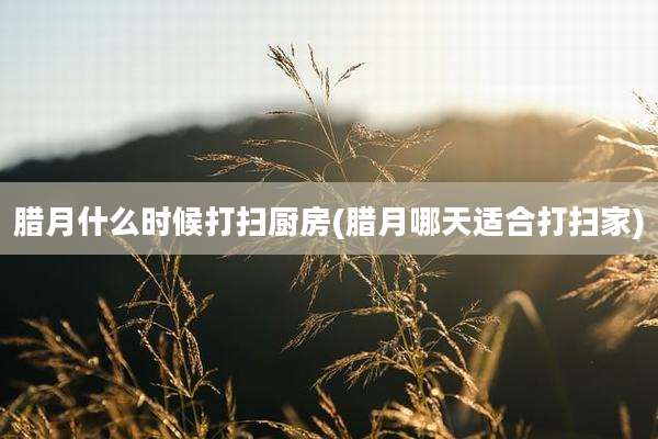 腊月什么时候打扫厨房(腊月哪天适合打扫家)