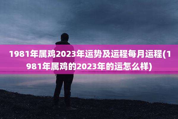 1981年属鸡2023年运势及运程每月运程(1981年属鸡的2023年的运怎么样)