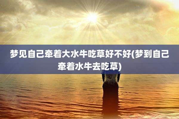 梦见自己牵着大水牛吃草好不好(梦到自己牵着水牛去吃草)