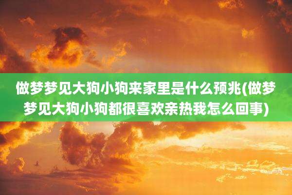做梦梦见大狗小狗来家里是什么预兆(做梦梦见大狗小狗都很喜欢亲热我怎么回事)