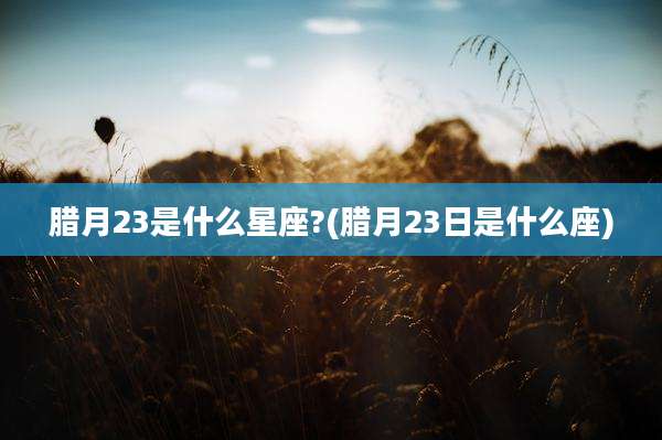 腊月23是什么星座?(腊月23日是什么座)