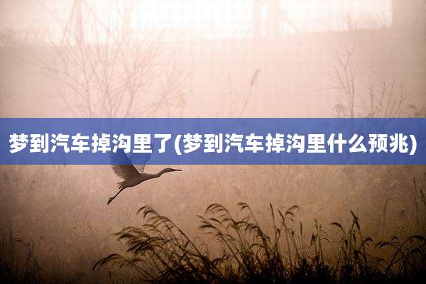 梦到汽车掉沟里了(梦到汽车掉沟里什么预兆)