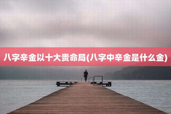 八字辛金以十大贵命局(八字中辛金是什么金)