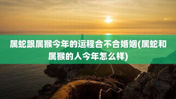 属蛇跟属猴今年的运程合不合婚姻(属蛇和属猴的人今年怎么样)
