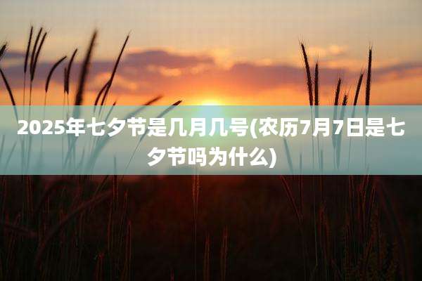 2025年七夕节是几月几号(农历7月7日是七夕节吗为什么)