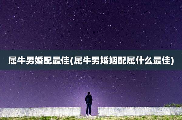 属牛男婚配最佳(属牛男婚姻配属什么最佳)