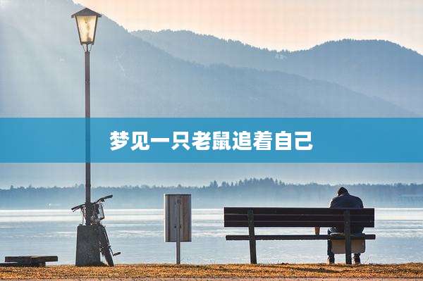 梦见一只老鼠追着自己