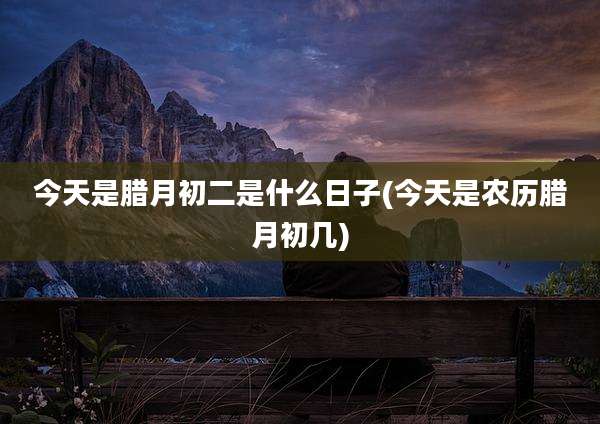 今天是腊月初二是什么日子(今天是农历腊月初几)