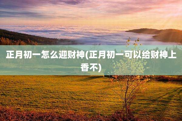 正月初一怎么迎财神(正月初一可以给财神上香不)
