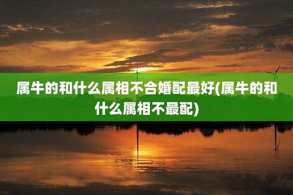 属牛的和什么属相不合婚配最好(属牛的和什么属相不最配)
