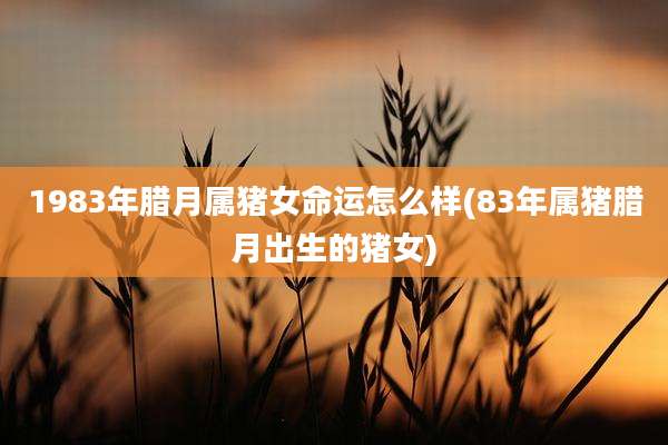 1983年腊月属猪女命运怎么样(83年属猪腊月出生的猪女)