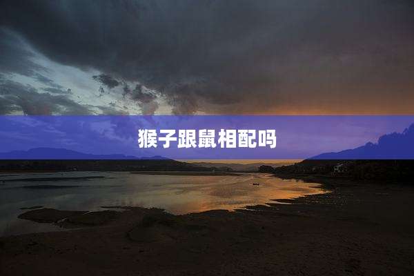 猴子跟鼠相配吗