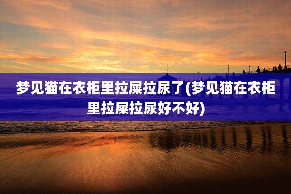 梦见猫在衣柜里拉屎拉尿了(梦见猫在衣柜里拉屎拉尿好不好)