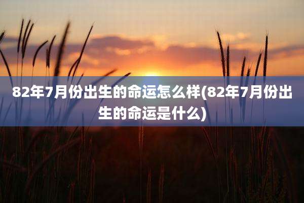 82年7月份出生的命运怎么样(82年7月份出生的命运是什么)