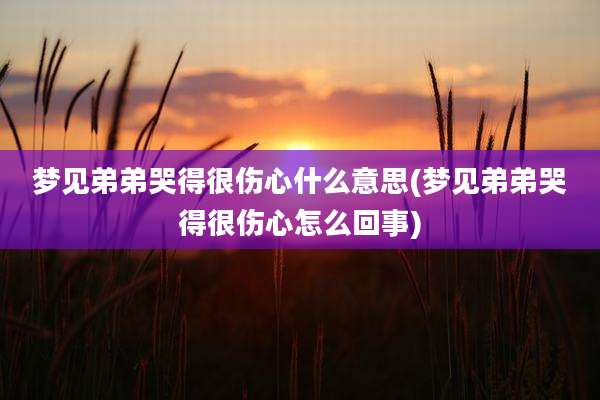 梦见弟弟哭得很伤心什么意思(梦见弟弟哭得很伤心怎么回事)