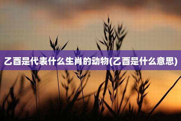 乙酉是代表什么生肖的动物(乙酉是什么意思)