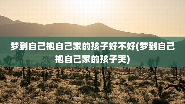 梦到自己抱自己家的孩子好不好(梦到自己抱自己家的孩子哭)