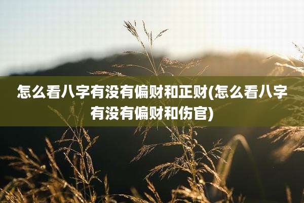 怎么看八字有没有偏财和正财(怎么看八字有没有偏财和伤官)