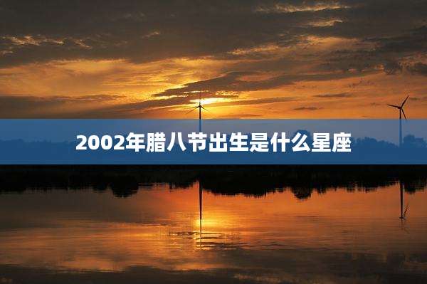 2002年腊八节出生是什么星座