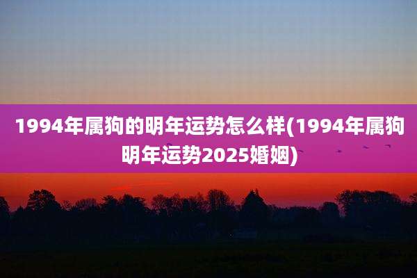 1994年属狗的明年运势怎么样(1994年属狗明年运势2025婚姻)