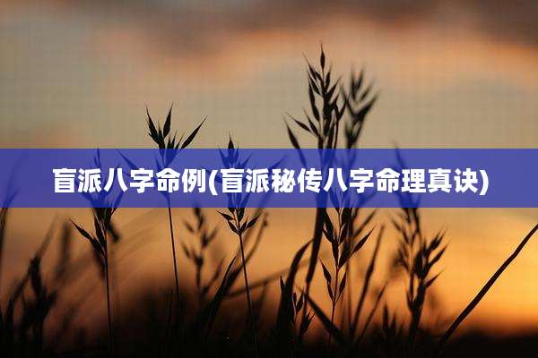 盲派八字命例(盲派秘传八字命理真诀)