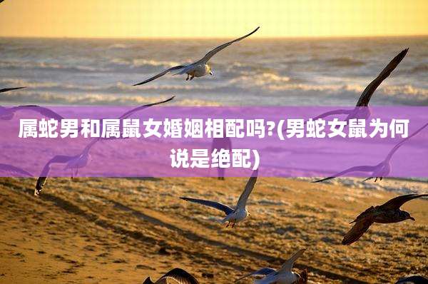 属蛇男和属鼠女婚姻相配吗?(男蛇女鼠为何说是绝配)