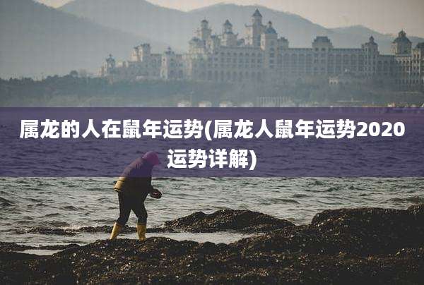 属龙的人在鼠年运势(属龙人鼠年运势2020运势详解)