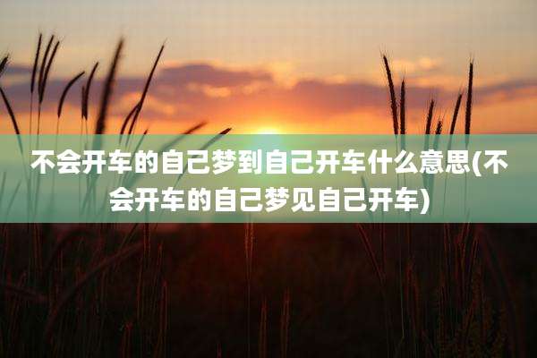 不会开车的自己梦到自己开车什么意思(不会开车的自己梦见自己开车)