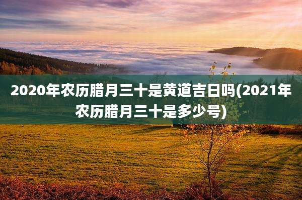 2020年农历腊月三十是黄道吉日吗(2021年农历腊月三十是多少号)