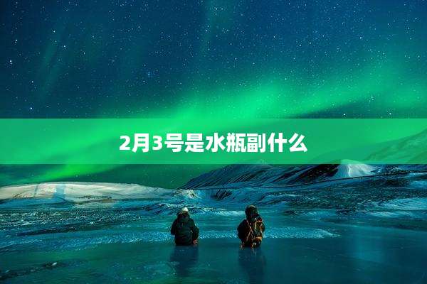 2月3号是水瓶副什么
