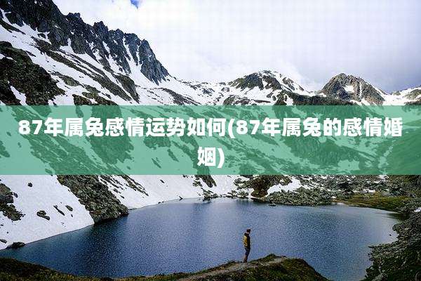 87年属兔感情运势如何(87年属兔的感情婚姻)