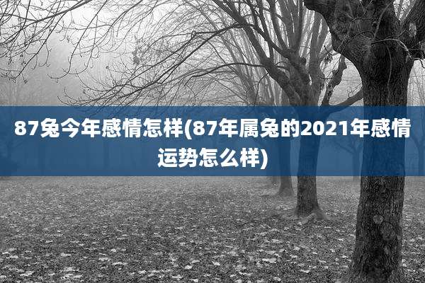 87兔今年感情怎样(87年属兔的2021年感情运势怎么样)