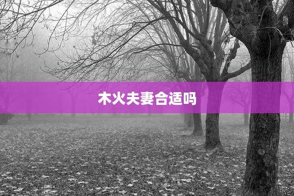 木火夫妻合适吗