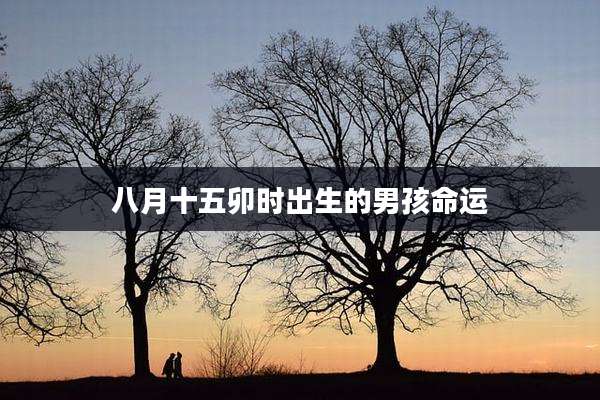 八月十五卯时出生的男孩命运