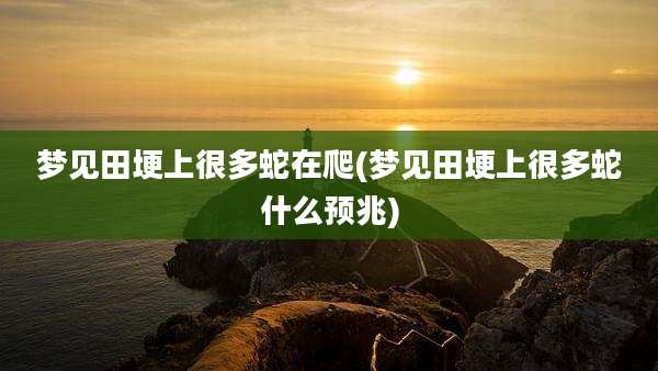 梦见田埂上很多蛇在爬(梦见田埂上很多蛇什么预兆)